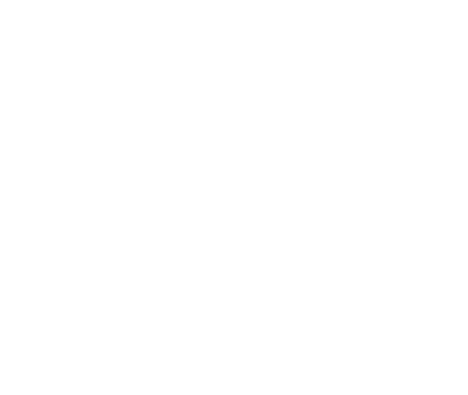 logo piensatic plus